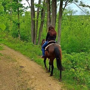 Meet your Posher, Ratchel